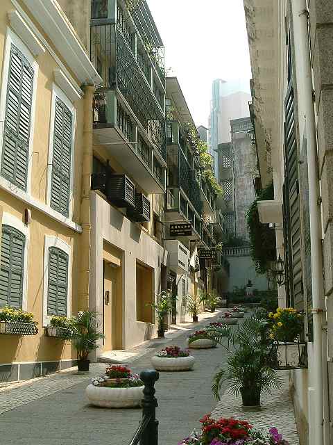 Senado
