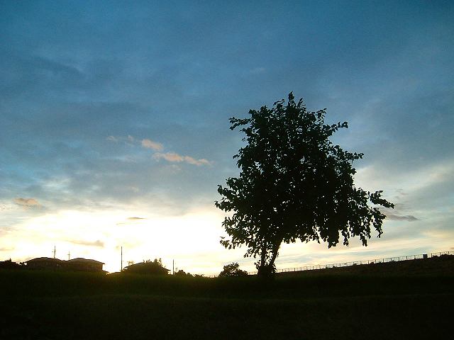 In the morning 